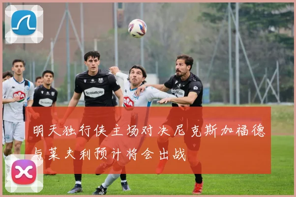 明天独行侠主场对决尼克斯加福德与莱夫利预计将会出战