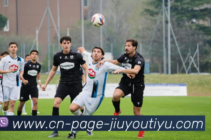 九游娱乐平台生态图